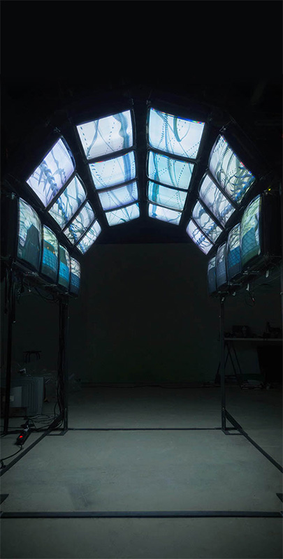 Les oiseaux - Variation #1